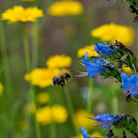 Cozy Vacation In Beautiful Surroundings Dom wakacyjny Empe