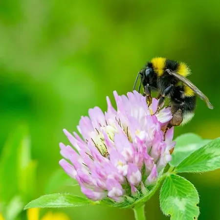 Cozy Vacation In Beautiful Surroundings Empe