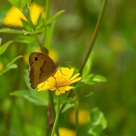 Dom wakacyjny Cozy Vacation In Beautiful Surroundings