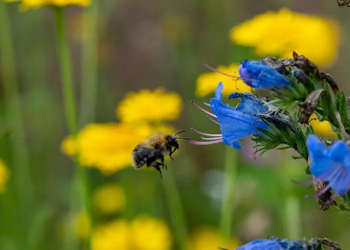 Cozy Vacation In Beautiful Surroundings Vakantiehuis Empe