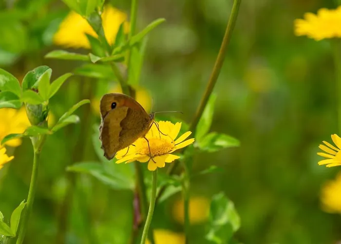 Vakantiehuis Cozy Vacation In Beautiful Surroundings